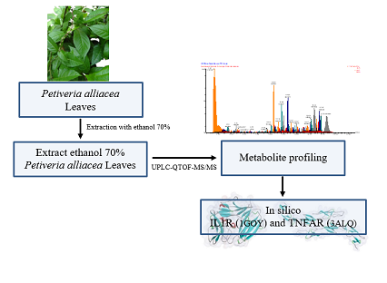 Metabolite profiling based on UPLC-QTOF-MS/MS and evaluation of Petiveria alliacea leaves extract as an in silico anti-inflammatory 