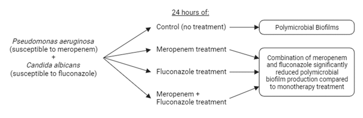 Effect of meropenem and fluconazole combination therapy on polymicrobial biofilms (Pseudomonas aeruginosa and candida albicans): an in vitro study 
