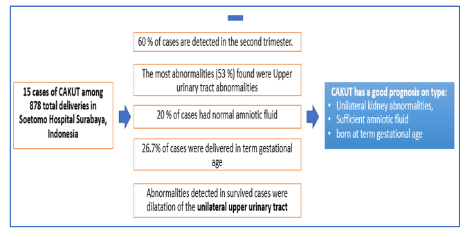 Problem in diagnosis and management of congenital anomalies kidney and urinary tract (cakut) in developing countries: a case series 