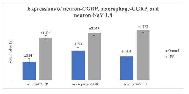 Expression of CGRP and NaV 1.8 in neurons and macrophages after p.gingivalis lipopolysaccharide aplication on dental pulp tissue 