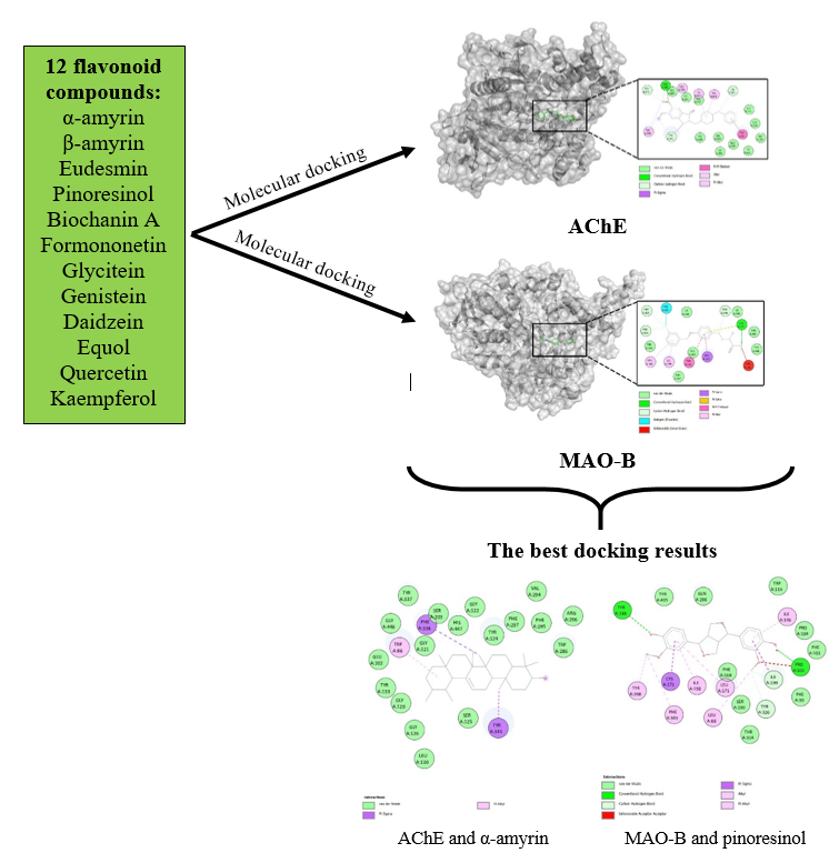 The potential of 12 flavonoid compounds as alzheimer's inhibitors through an in silico approach 