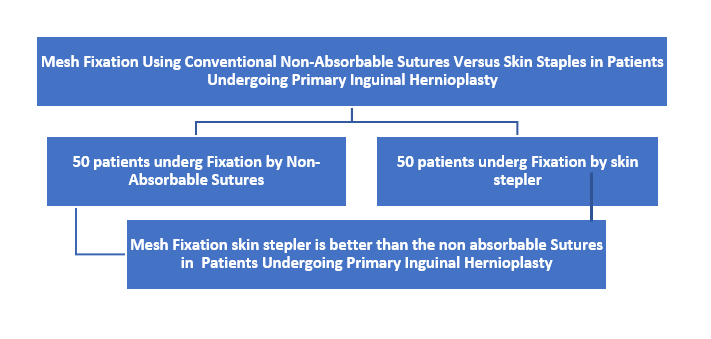 Mesh fixation using conventional non-absorbable sutures versus skin staples in patients undergoing primary inguinal hernioplasty 