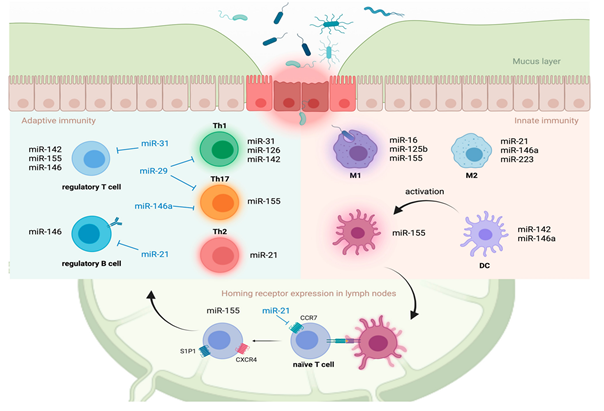 Circulating microRNA-16 and microRNA- 106a as novel biomarkers in inflammatory bowel disease 