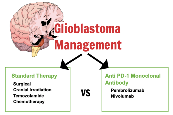 Anti-PD-1 monoclonal antibody as immune checkpoint inhibitor for newly diagnosed and recurrent glioblastoma: a systematic review and meta-analysis of randomized controlled trials 