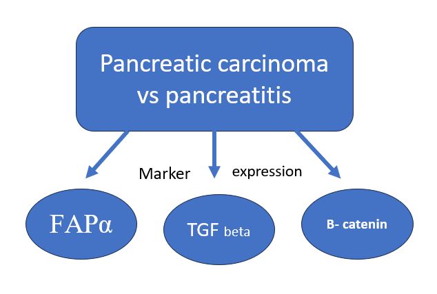 The diagnostic utility of fibroblast activating protein (FAP) alpha in relation to transforming growth factor (TGF) beta and beta catenin immunohistochemical markers in pancreatic adenocarcinoma versus pancreatitis 