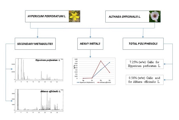 Comparison of heavy metals, secondary metabolites, and total polyphenols in hypericum perforatum l. and althaea officinalis L 