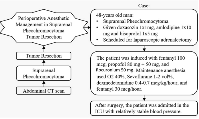 Perioperative anesthetic management in suprarenal pheochromocytoma tumor resection 